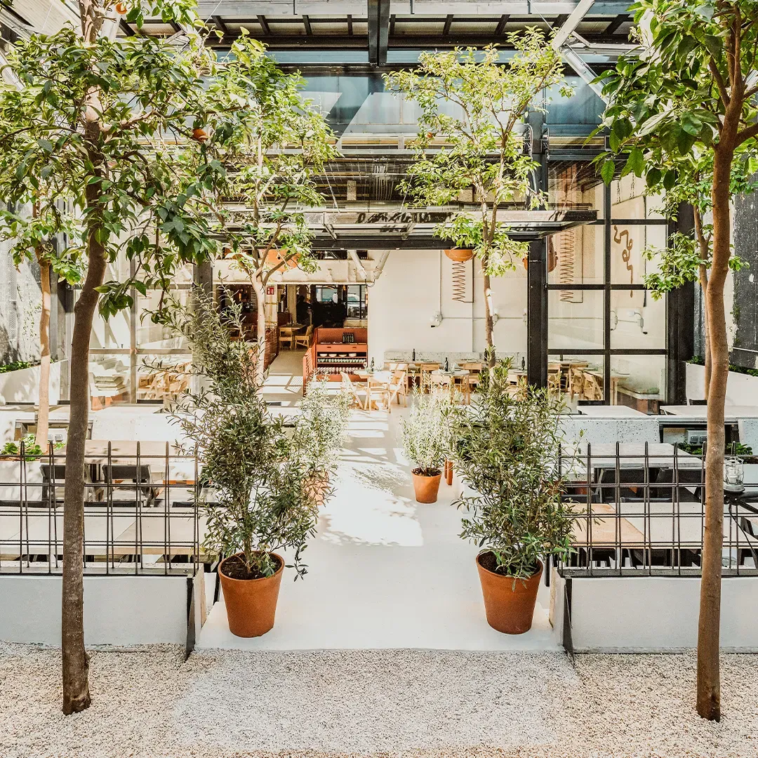 A planted courtyard paved with eco cement