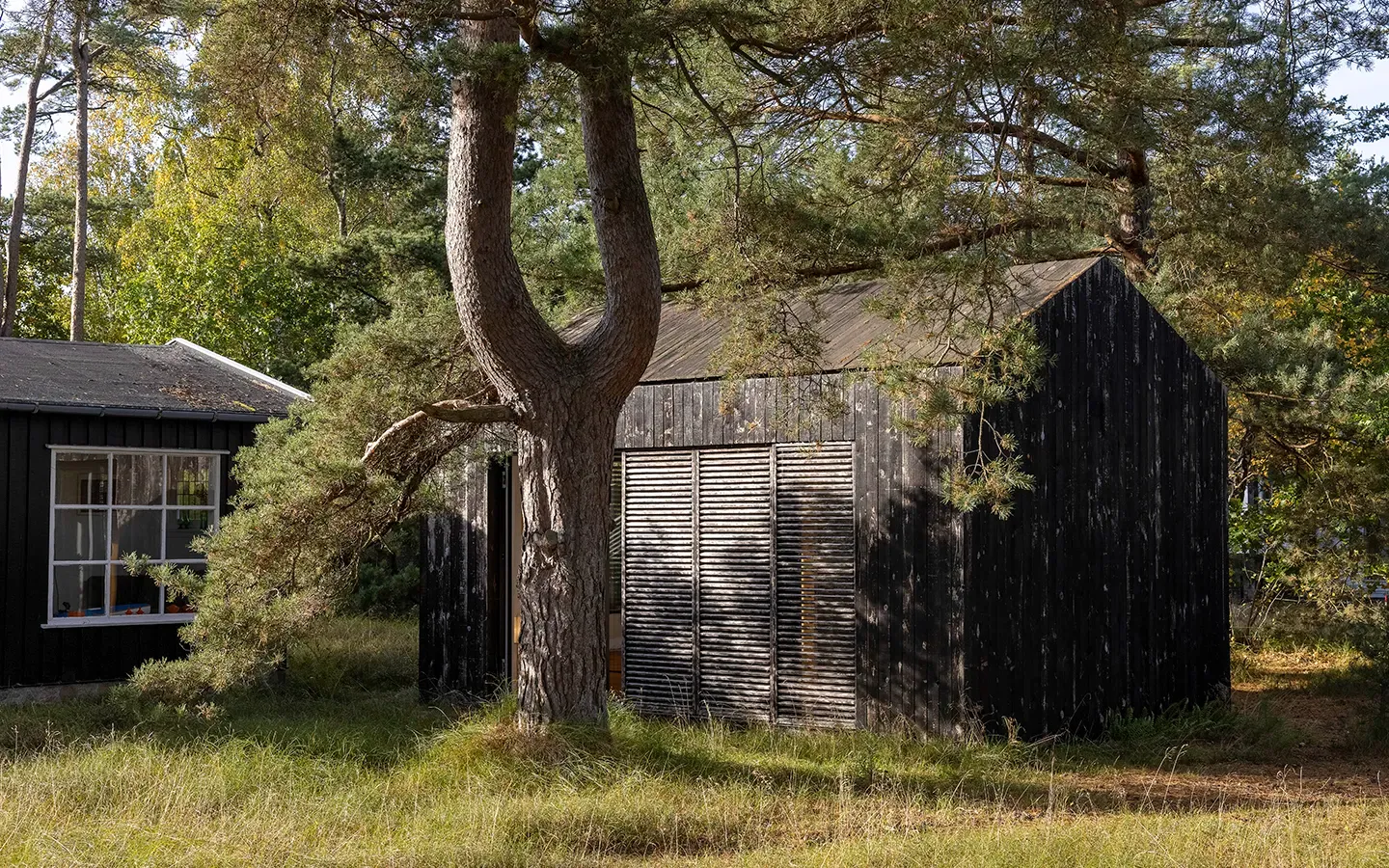 Burned Wood House