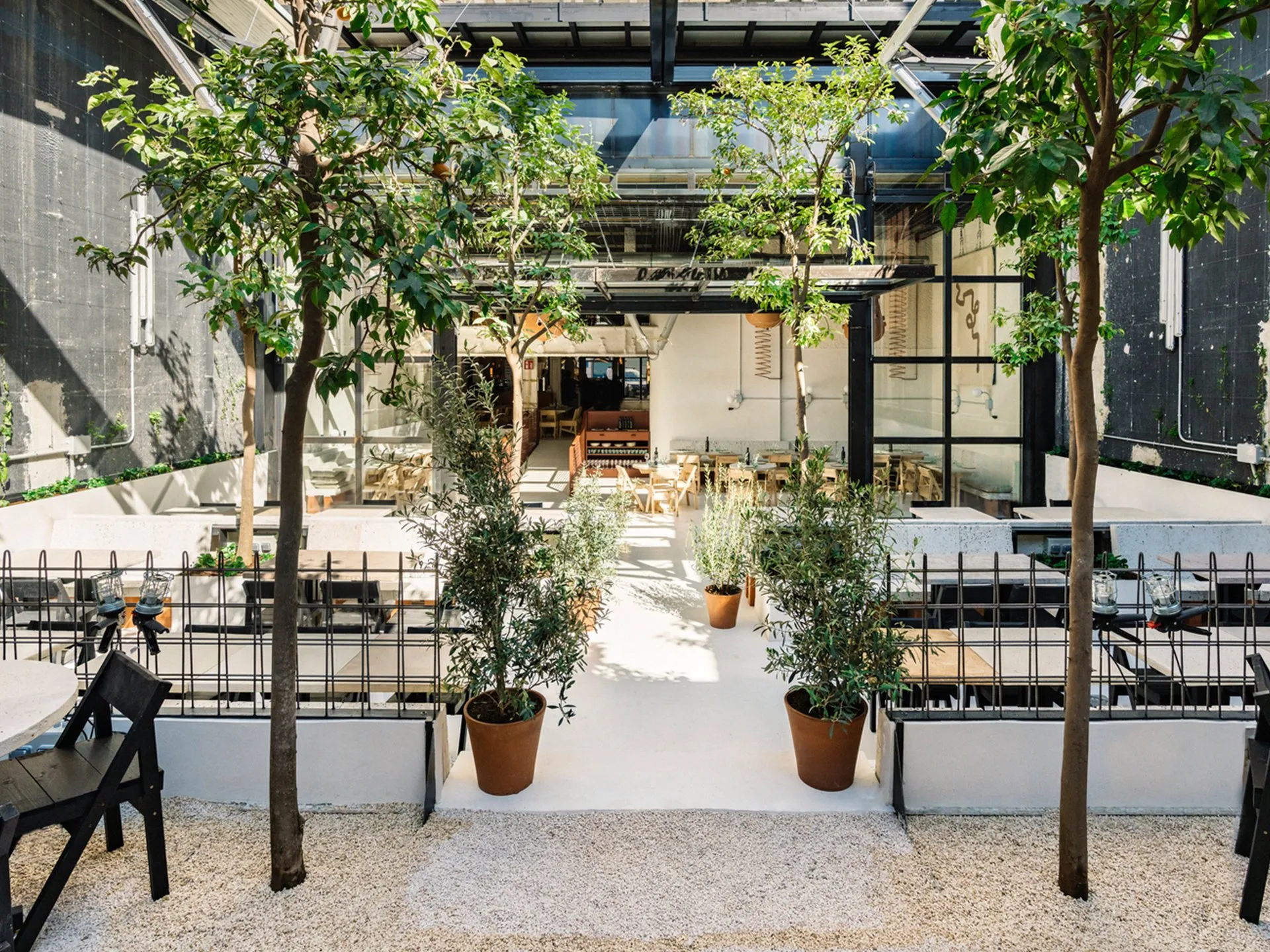 Restaurante luminoso con árboles interiores y pavimento continuo